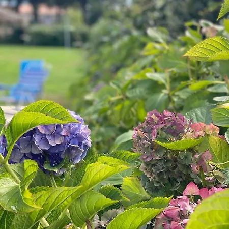 Guest house Mar De Frisia O Pino