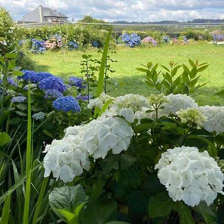 招待所 Mar De Frisia